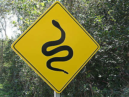 Panneau : Attention serpent