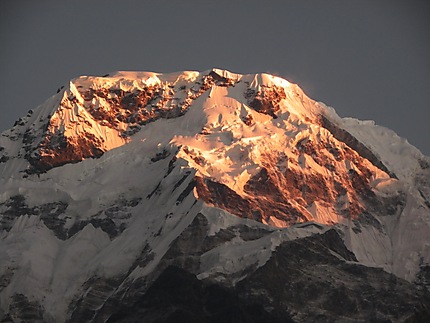 Annapurna Sud au lever du soleil