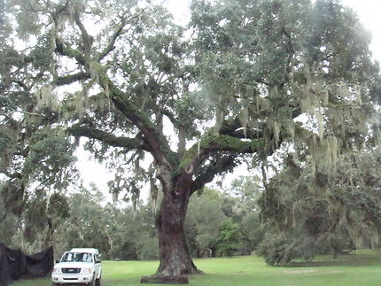 Brookgreen Gardens