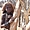 Adolescente Himba