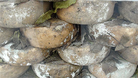 Le pecorino de Pienza Le pecorino de Pienza