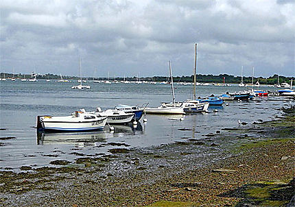 Les petits bateaux de Conleau