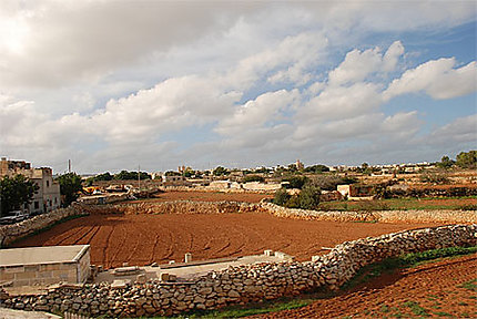 Paysage rural à Malte