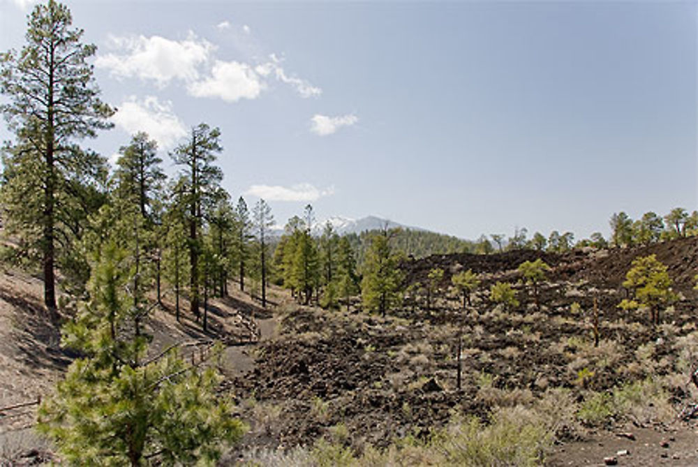 Coulée de lave du Sunset Crater, USA