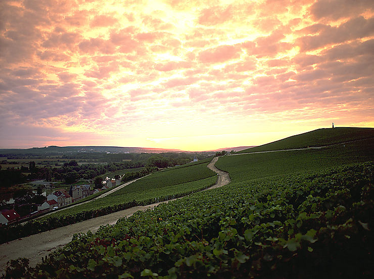 Champagne et gastronomie, la Marne épicurienne