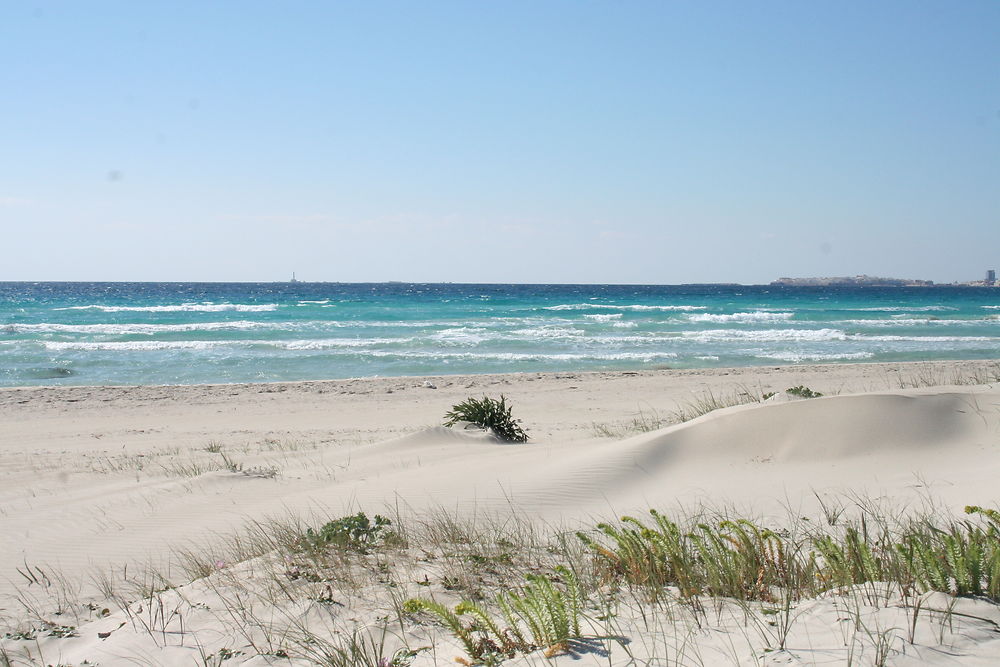 Plage Baia verde