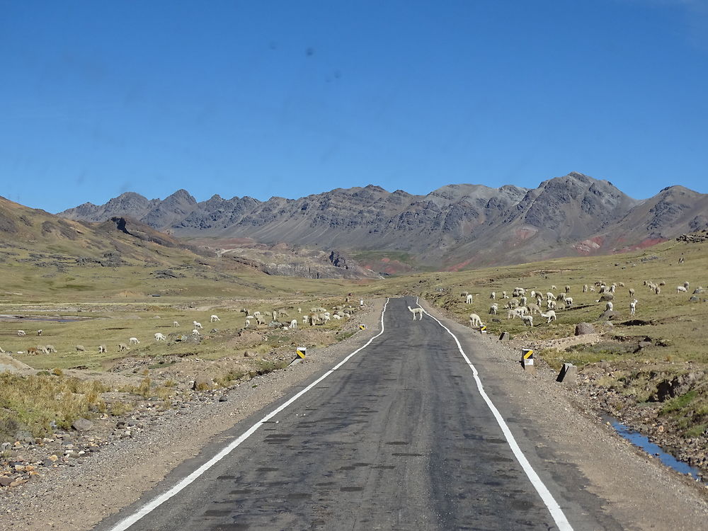 Au coeur des andes péruviennes