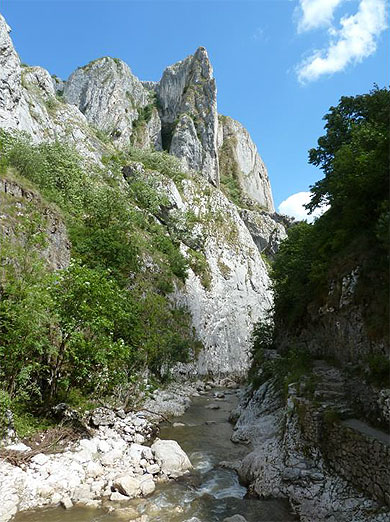 Paroi abruptes dans les gorges de Turzii Paroi abruptes dans les gorges de Turzii
