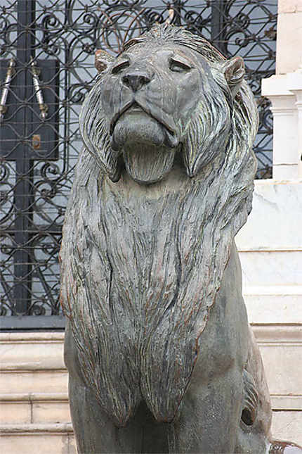 Oran - Hôtel de Ville - Un des lions...