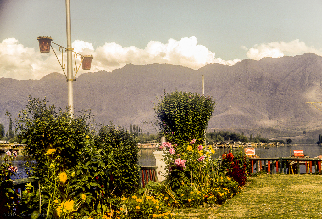 Nehru Park, Srinagar Nehru Park, Srinagar