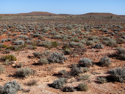Paysage aride du Outback australien