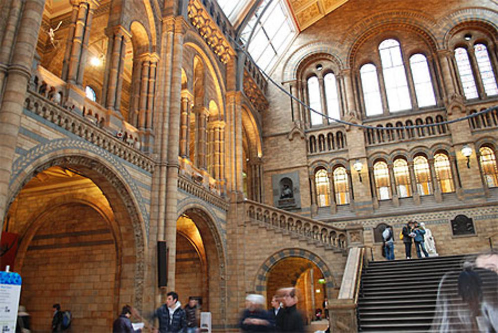 Musée d'histoire naturelle