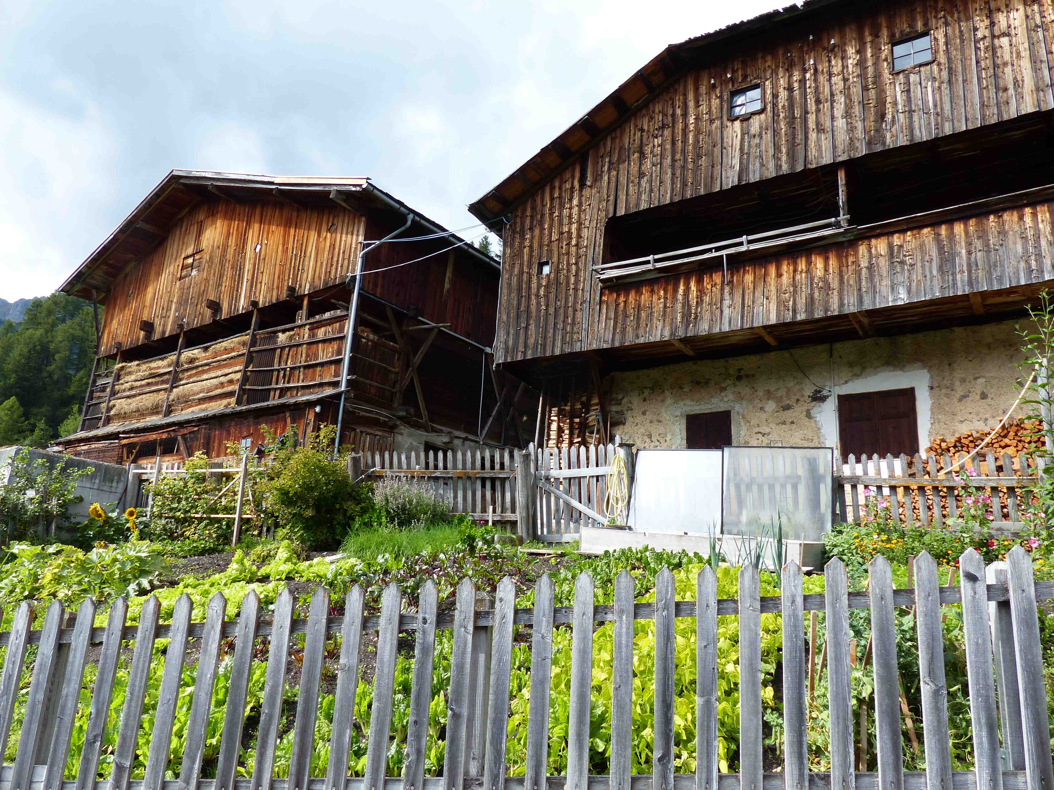 San Martino in Badia - Fermes San Martino in Badia - Fermes