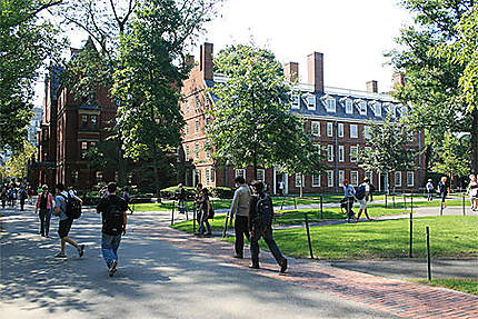 Etudiants de Harvard