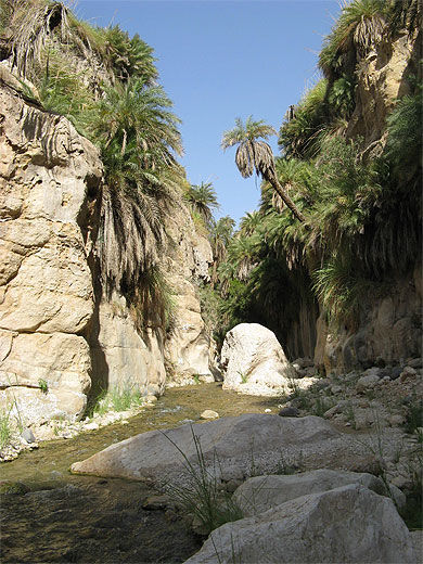 Wadi Ibn Hammad