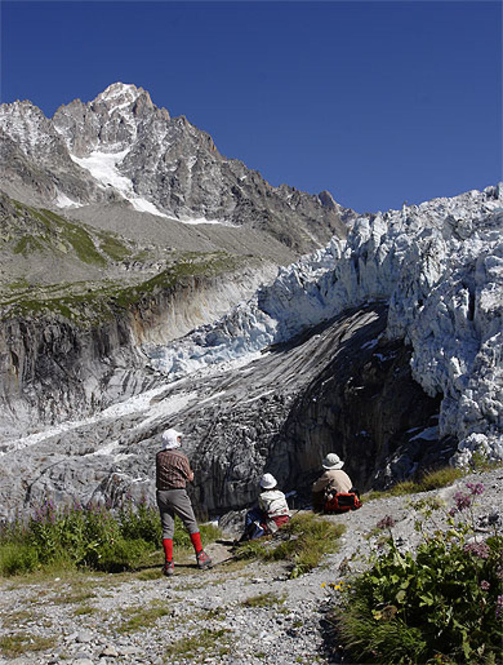 Front du glacier d'Argentière, Massif du Mont-Blanc