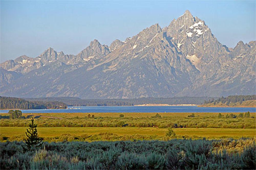 Paysage dans le Grand Teton National Park