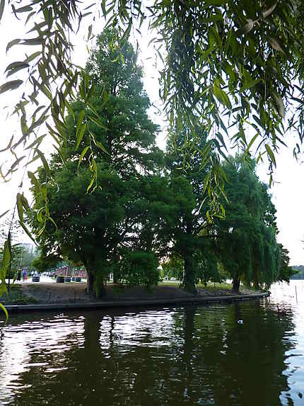 Lac à Bucarest