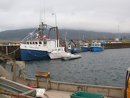 Bâteaux de pêche à Carleton-sur-Mer