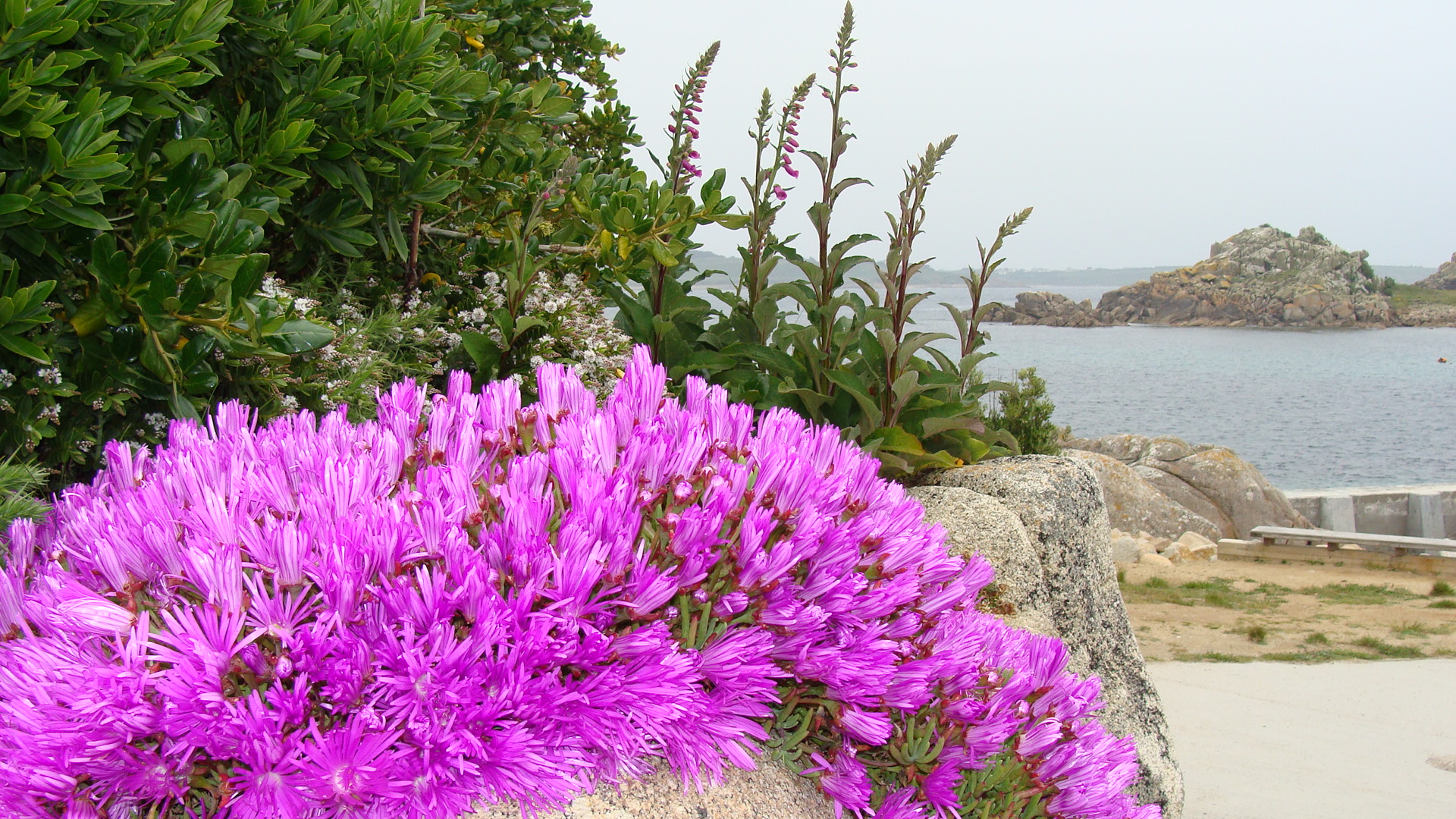Scilly Scilly