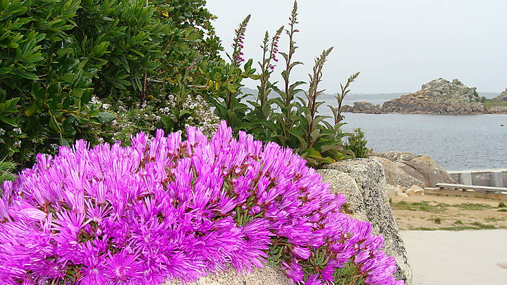 Îles Scilly
