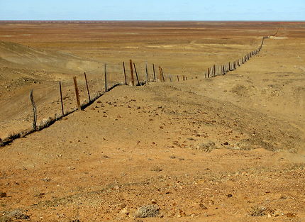 The "Dog Fence" (La barrière à Dingos)