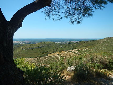 Vue sur les collines de Provence