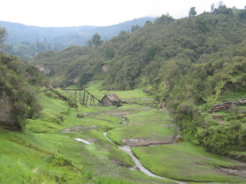 La verte Ethiopie