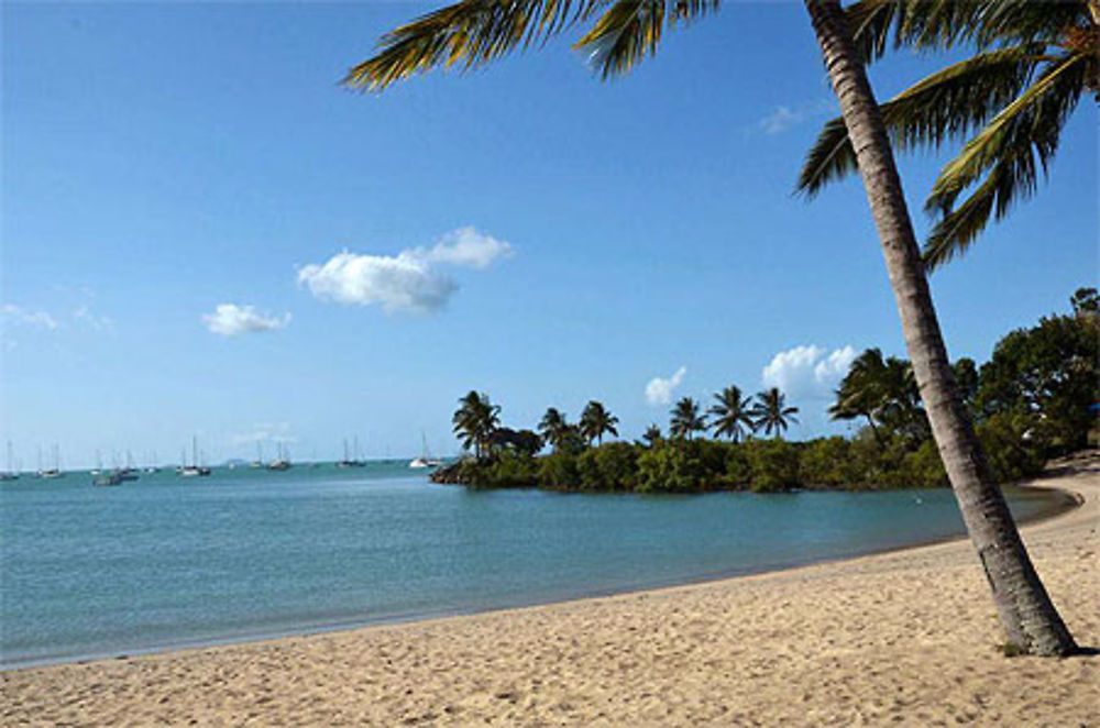 Plage de Airlie Beach