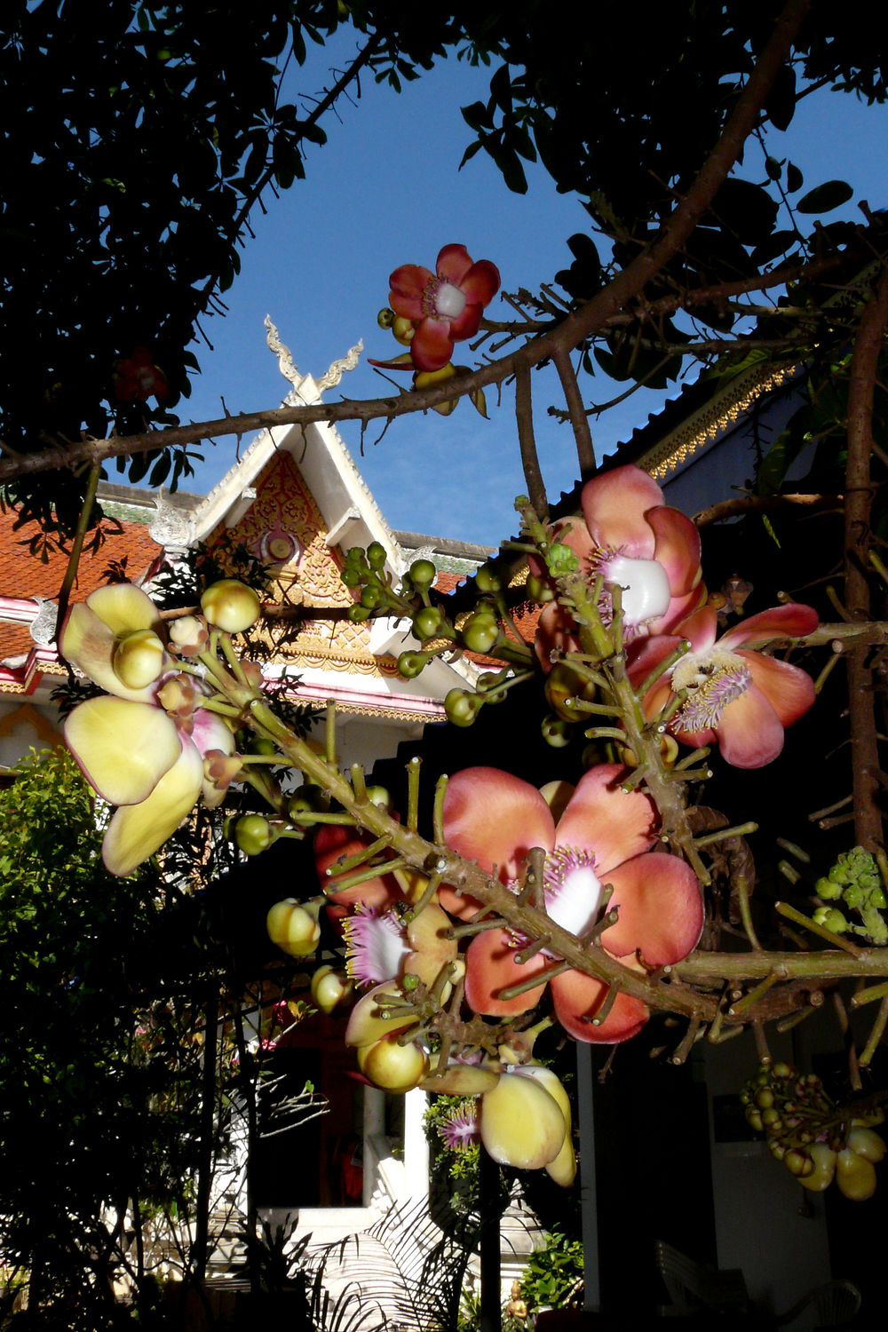 Temple fleuri