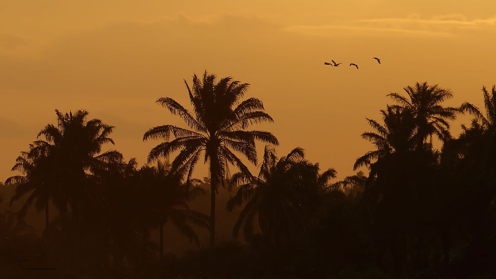 Coucher de soleil