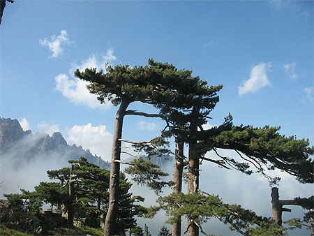 Bavella Bavella