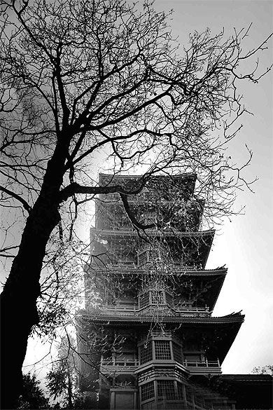 Tour japonaise à Bruxelles Tour japonaise à Bruxelles