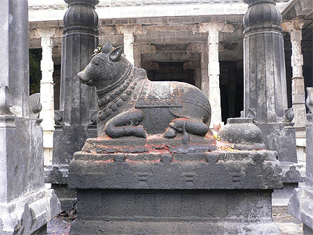 Temple d'Ekambareshwara à Kanchipuram, le taureau Nandi Temple d'Ekambareshwara à Kanchipuram, le taureau Nandi