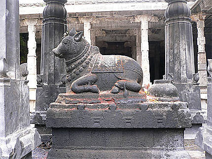 Temple d'Ekambareshwara à Kanchipuram, le taureau Nandi