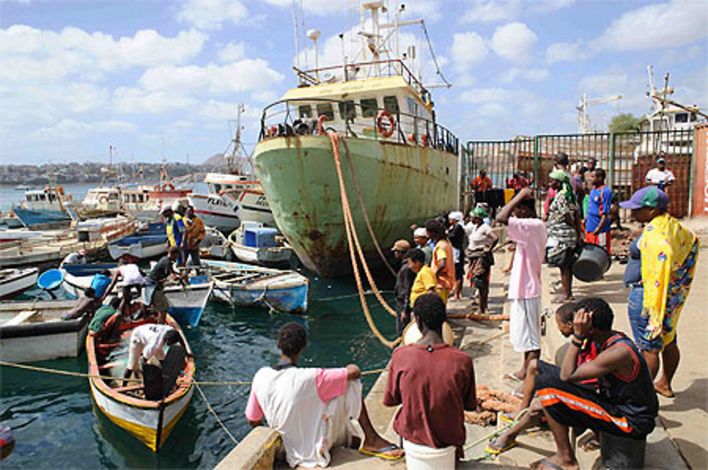 Arrivage au port