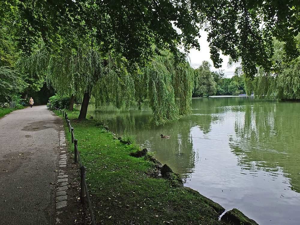 Jardin anglais