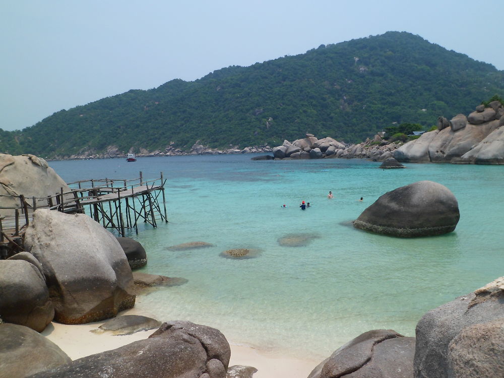 Koh nang yuan 2012