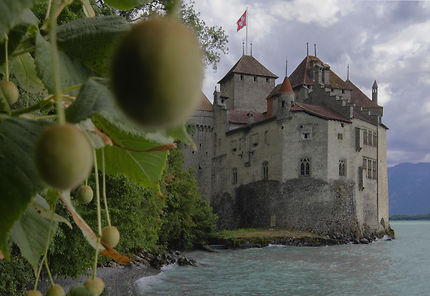 Le Château de Chillon