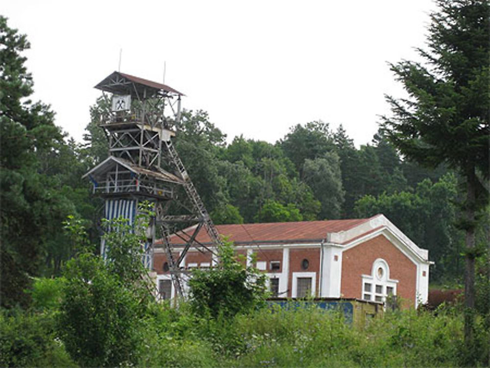 Sl&#259;nic mine de sel