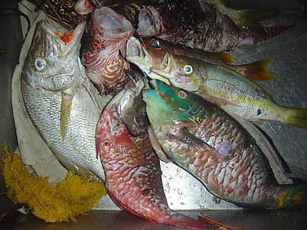Plat de poissons des caraïbes