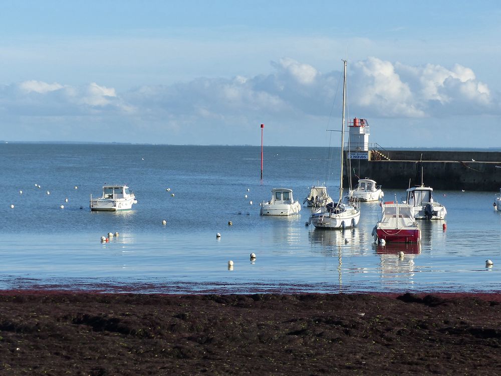 Port de saint-Jacques 