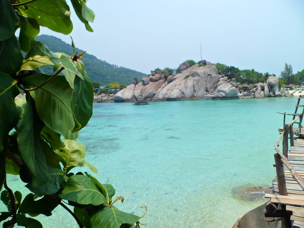 Koh Nang Yuan 2012