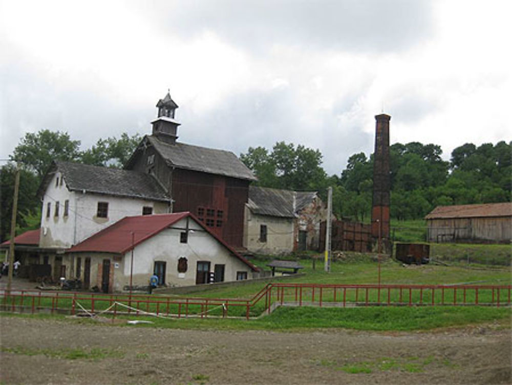 Cacica mine de sel