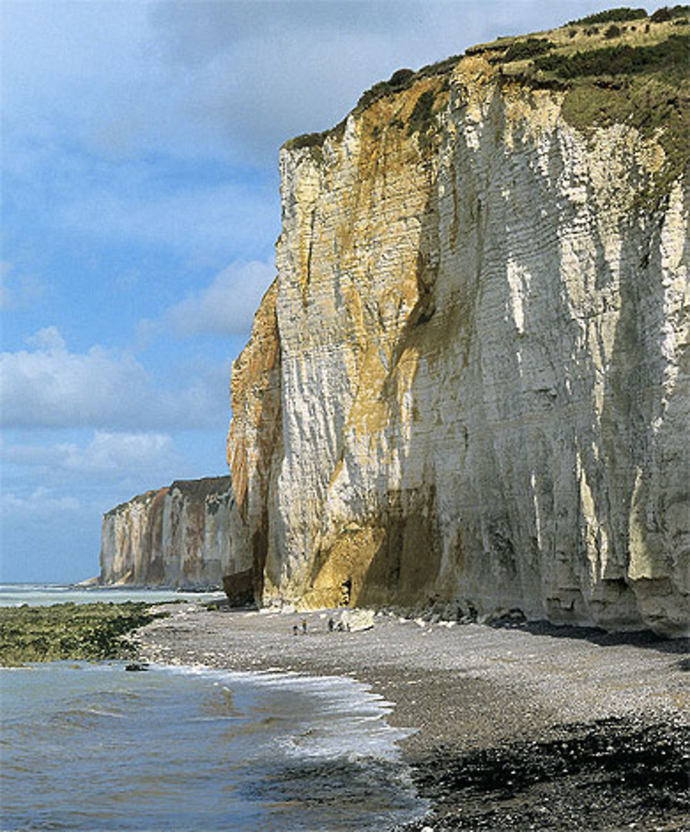 Plage et falaise, Les Grandes Dalles