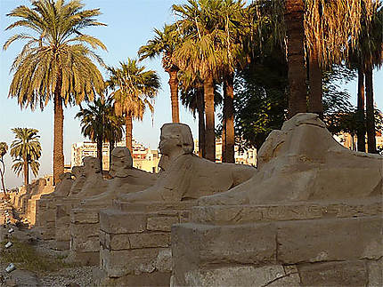 Allée des sphinx Karnak