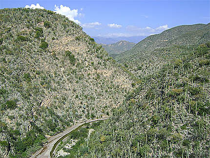 Paysage entre Oaxaca et Puebla