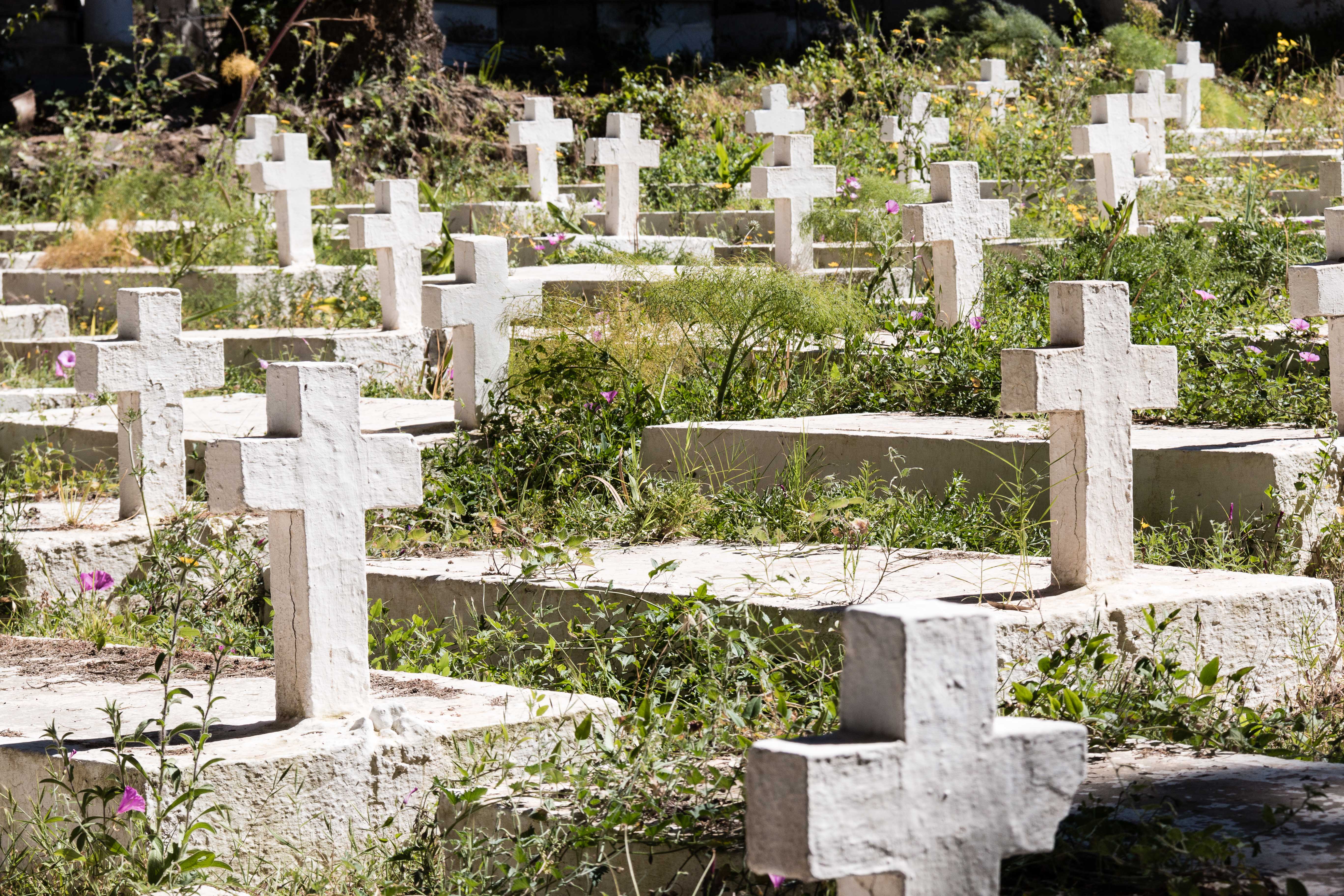 Alger - Carré militaire du cimetière chrétien Alger - Carré militaire du cimetière chrétien