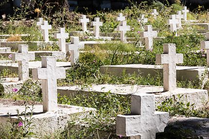 Alger - Carré militaire du cimetière chrétien