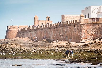 Essaouira, La sqala de la ville